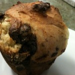 Chocolate Muffin